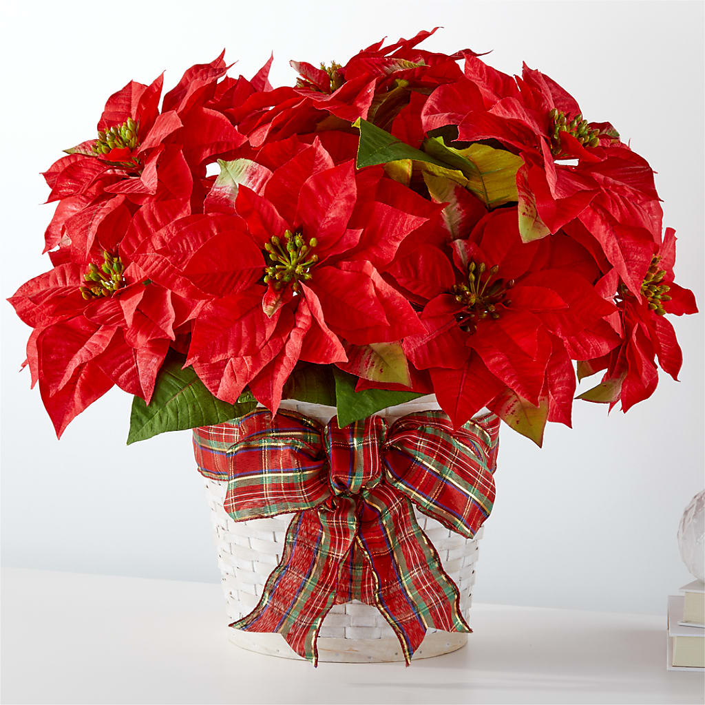 Happiest Holidays Poinsettia – Flowers By Oralene Llc, Concord NC