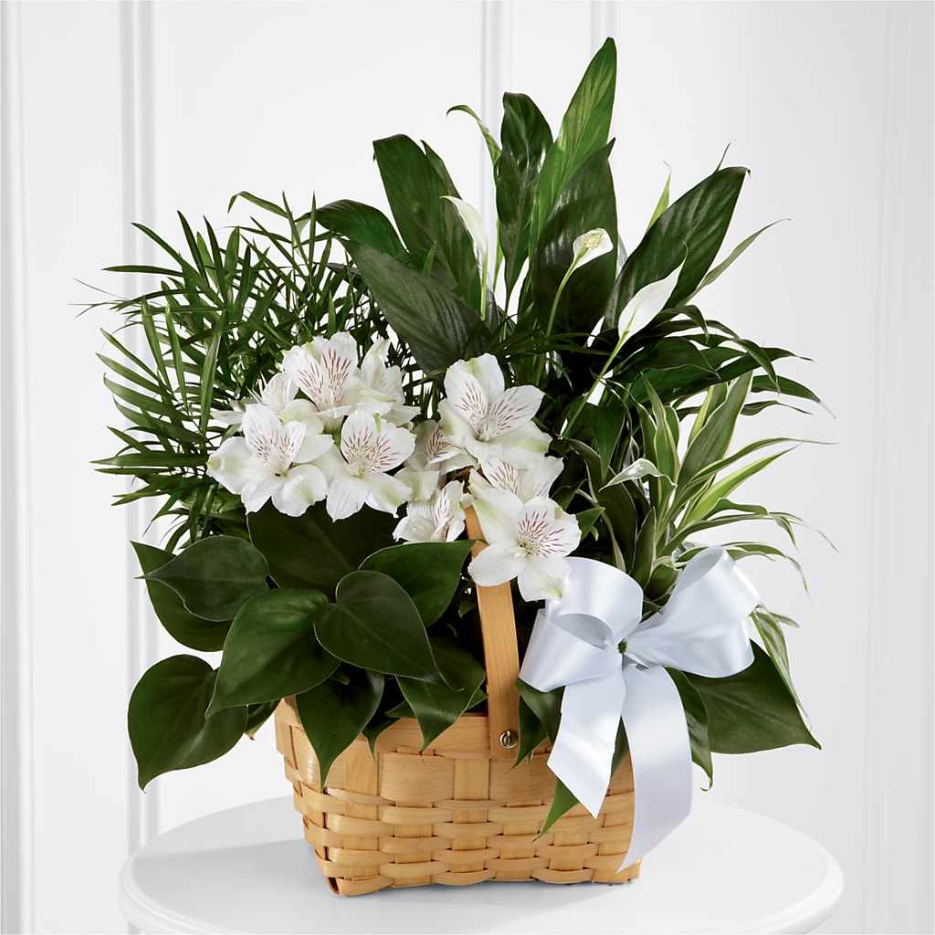 Peace & Serenity Dishgarden – Flowers By Oralene Llc, Concord NC