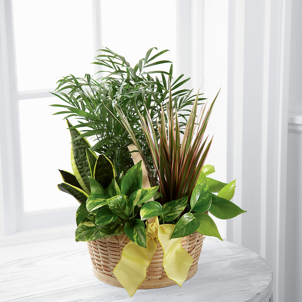 French Garden – Flowers By Oralene Llc, Concord NC