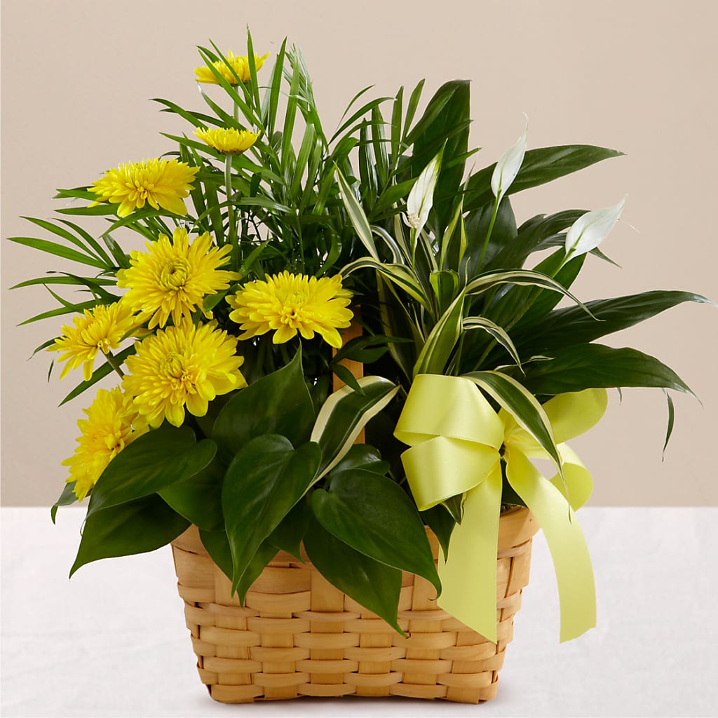 Loving Light Dishgarden – Flowers By Oralene Llc, Concord NC