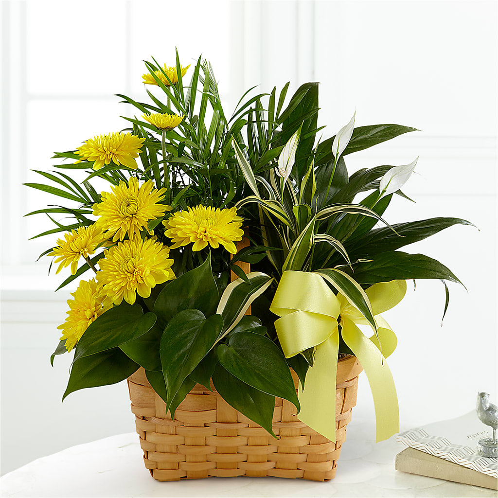Loving Light Dishgarden – Flowers By Oralene Llc, Concord NC