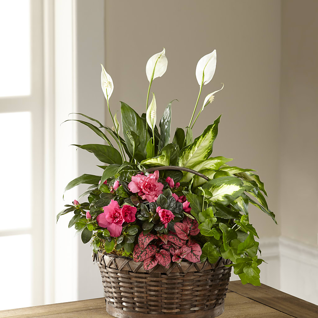 Dream in Pink Dishgarden – Flowers By Oralene Llc, Concord NC