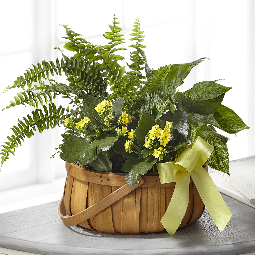 Always Dear Dishgarden – Flowers By Oralene Llc, Concord NC