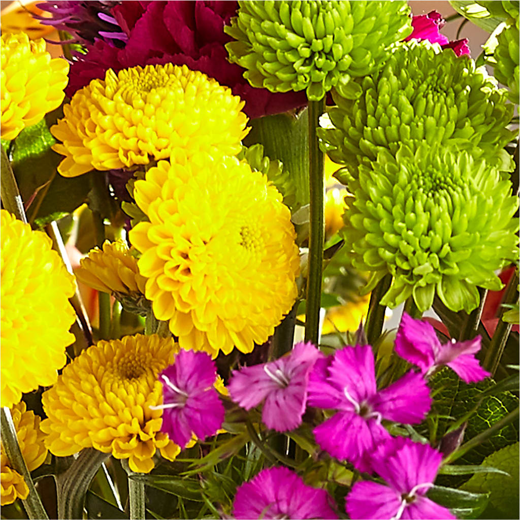 Bold & Bright – A Florist Original –  Flowers By Oralene Llc, Concord NC