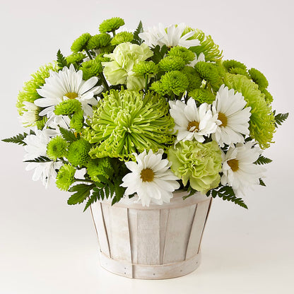 Lucky Charm Basket (Standard) –  Flowers By Oralene Llc, Concord NC