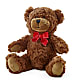 Adorable Plush Bear –  Flowers By Oralene Llc, Concord NC