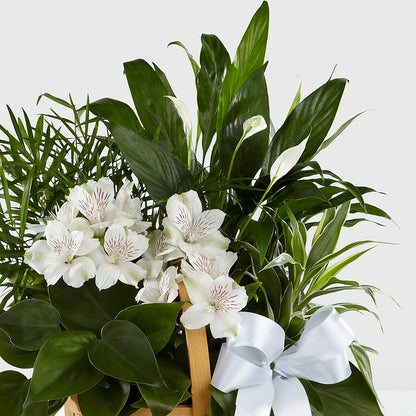 Peace & Serenity Dishgarden –  Flowers By Oralene Llc, Concord NC