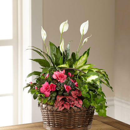 Dream in Pink Dishgarden –  Flowers By Oralene Llc, Concord NC