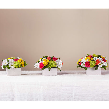 Sorbet Bouquet –  Flowers By Oralene Llc, Concord NC