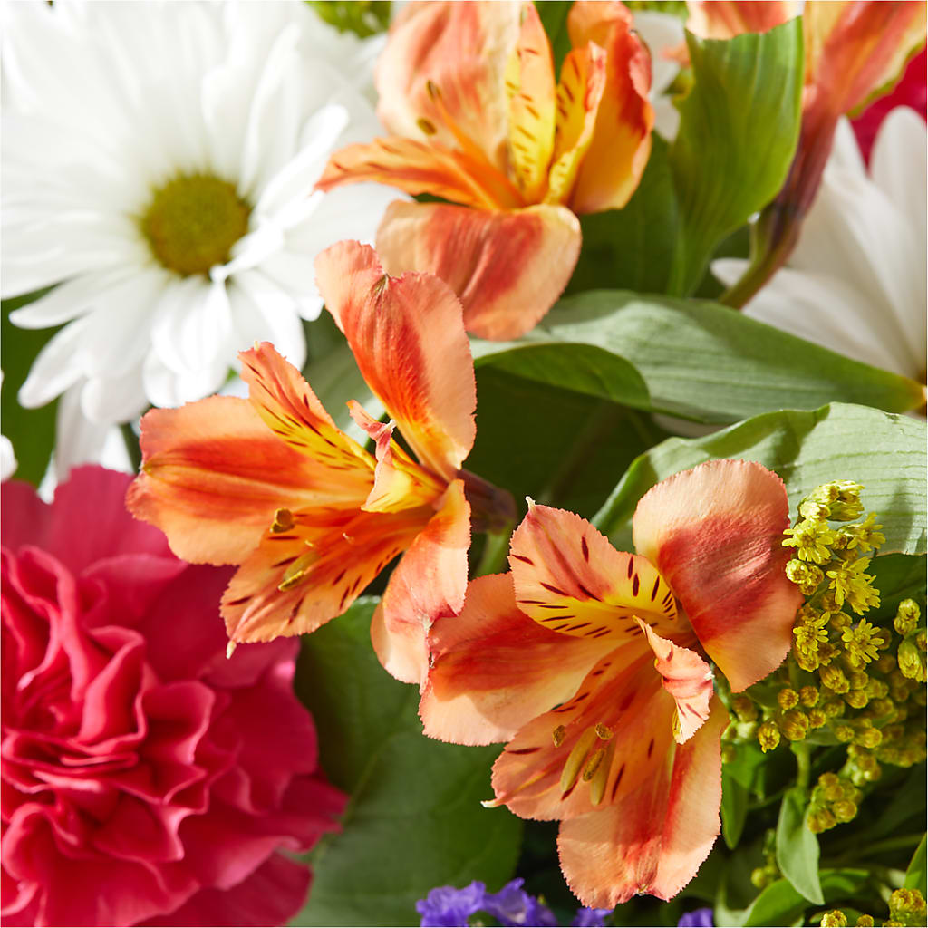 Oopsie Daisy Box Bouquet –  Flowers By Oralene Llc, Concord NC