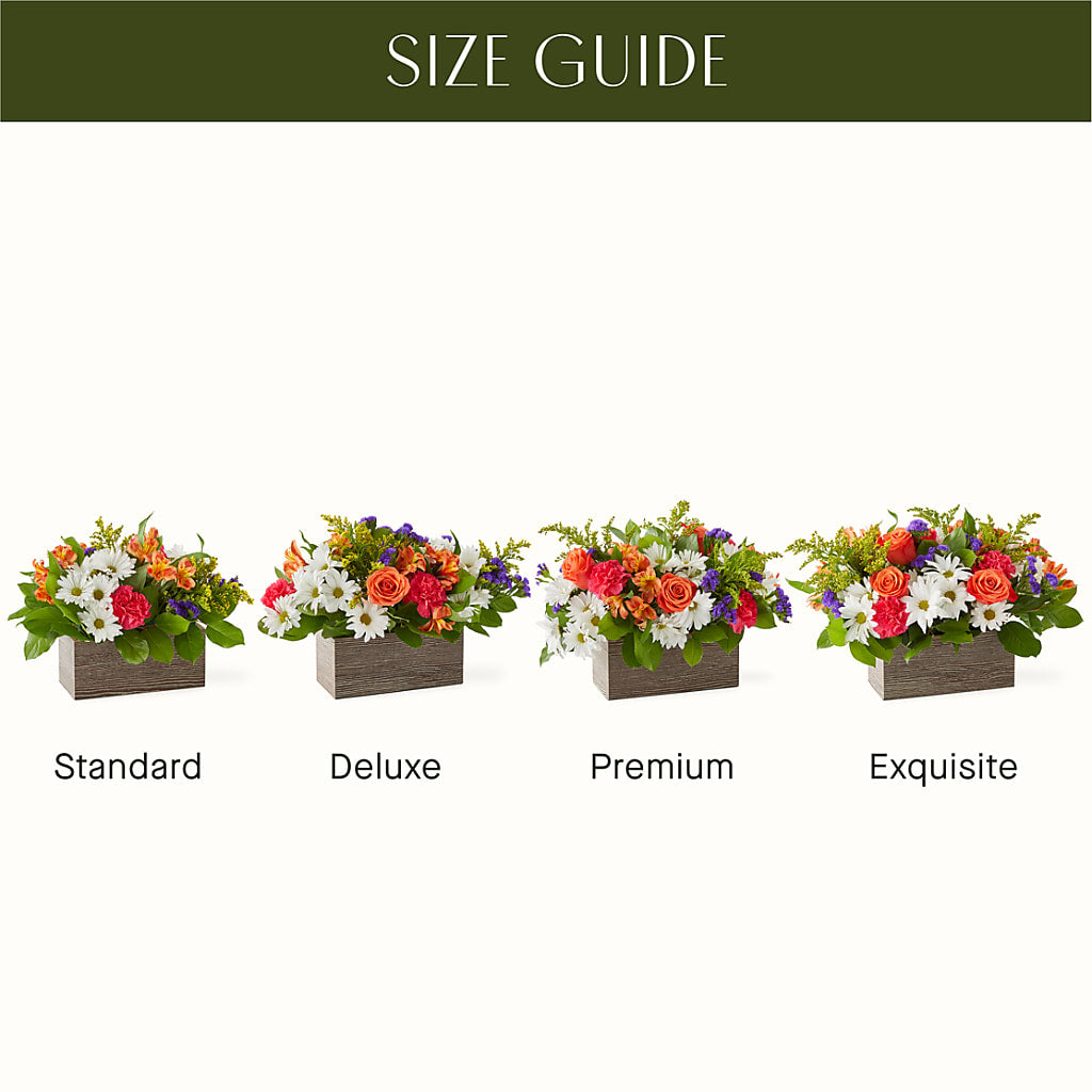 Oopsie Daisy Box Bouquet –  Flowers By Oralene Llc, Concord NC