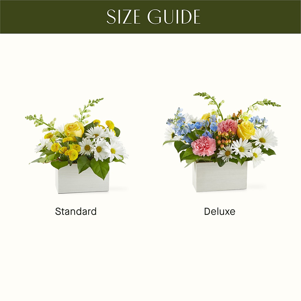 Sun Salutation Box Bouquet –  Flowers By Oralene Llc, Concord NC