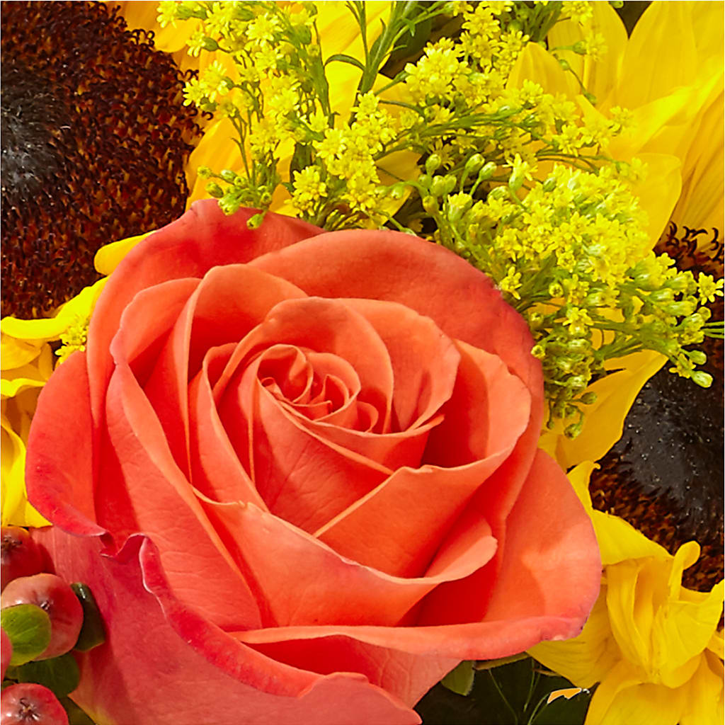 Pick of the Patch Pumpkin Bouquet –  Flowers By Oralene Llc, Concord NC