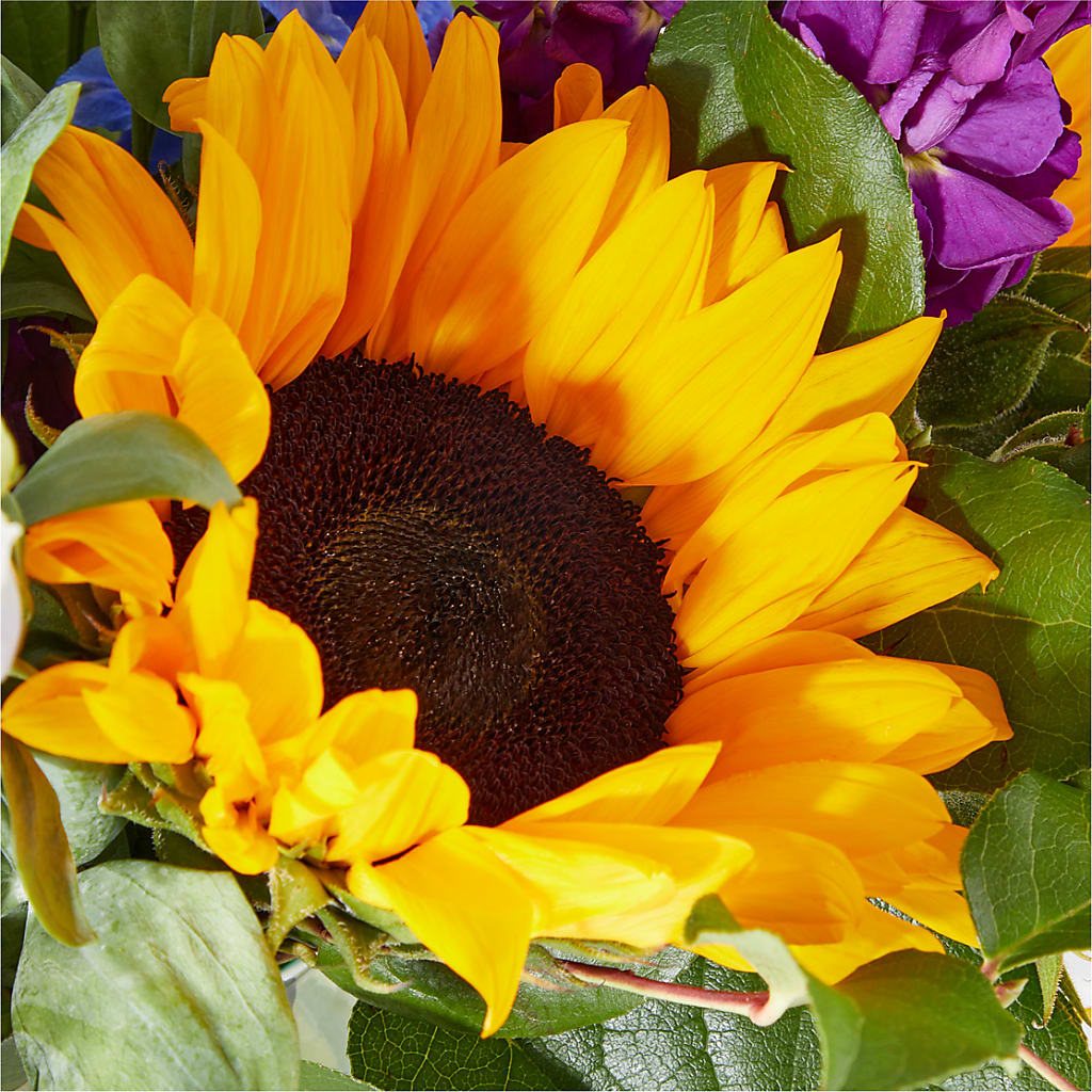 Catching Rays Bouquet –  Flowers By Oralene Llc, Concord NC