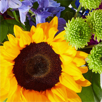 Catching Rays Bouquet –  Flowers By Oralene Llc, Concord NC