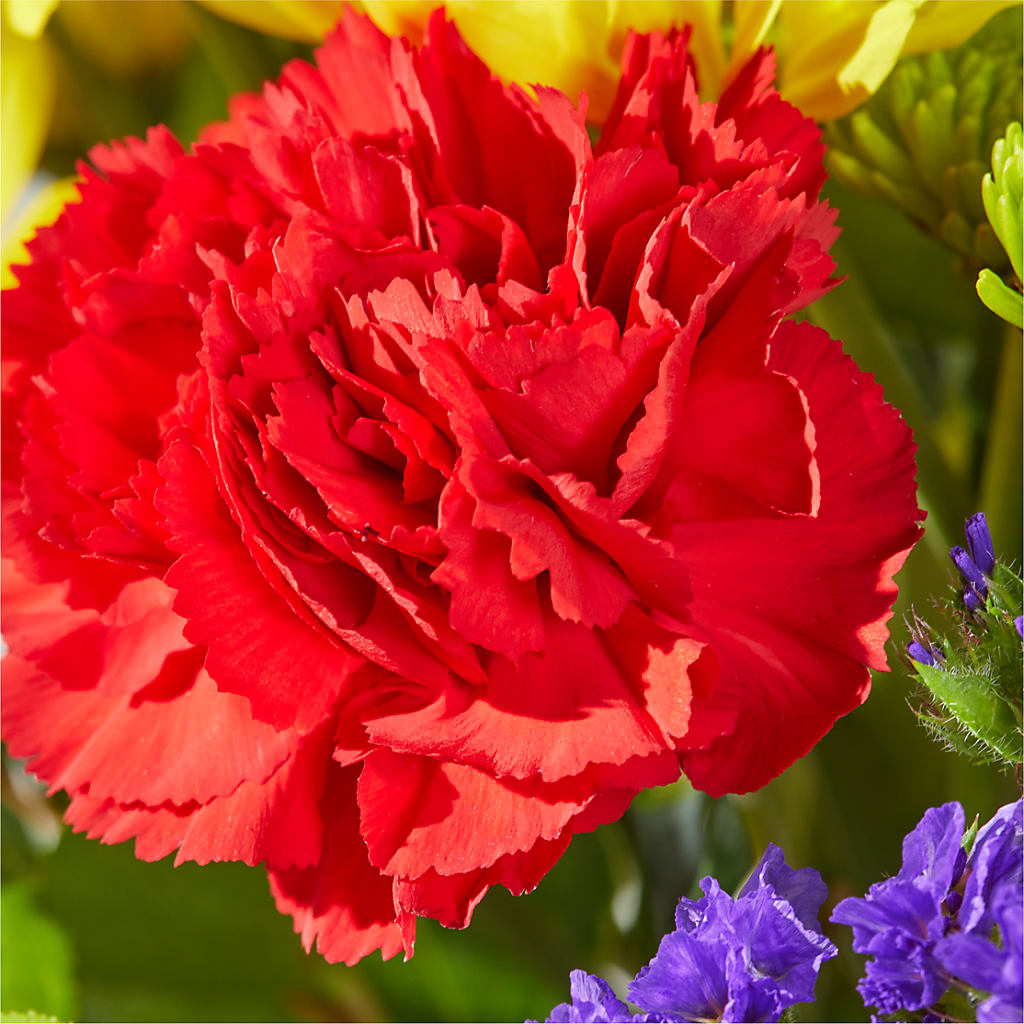 Brighter Days Bouquet –  Flowers By Oralene Llc, Concord NC