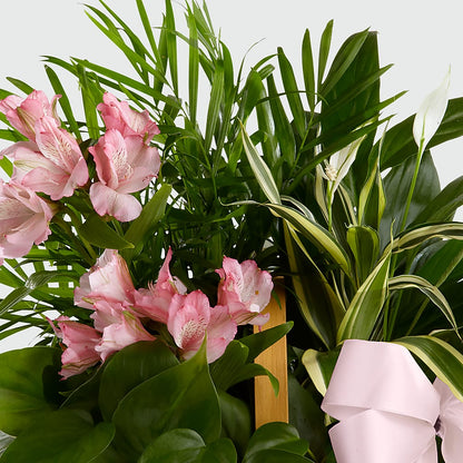 Living Spirit Dishgarden –  Flowers By Oralene Llc, Concord NC