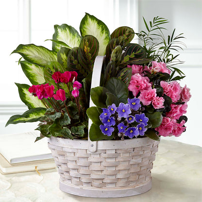 Peaceful Garden Planter –  Flowers By Oralene Llc, Concord NC
