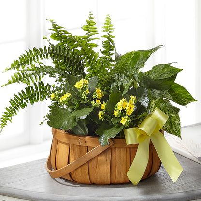 Always Dear Dishgarden –  Flowers By Oralene Llc, Concord NC