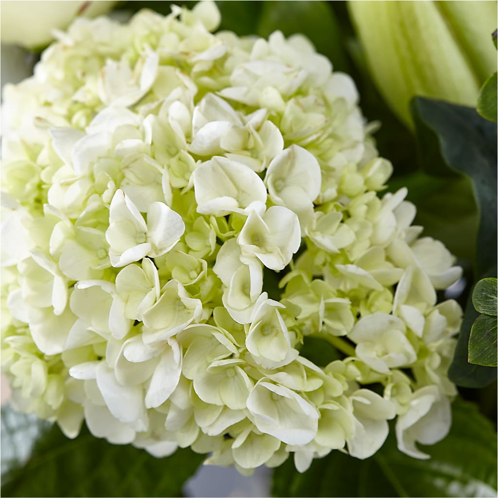 Classic Ivory – A Florist Original –  Flowers By Oralene Llc, Concord NC