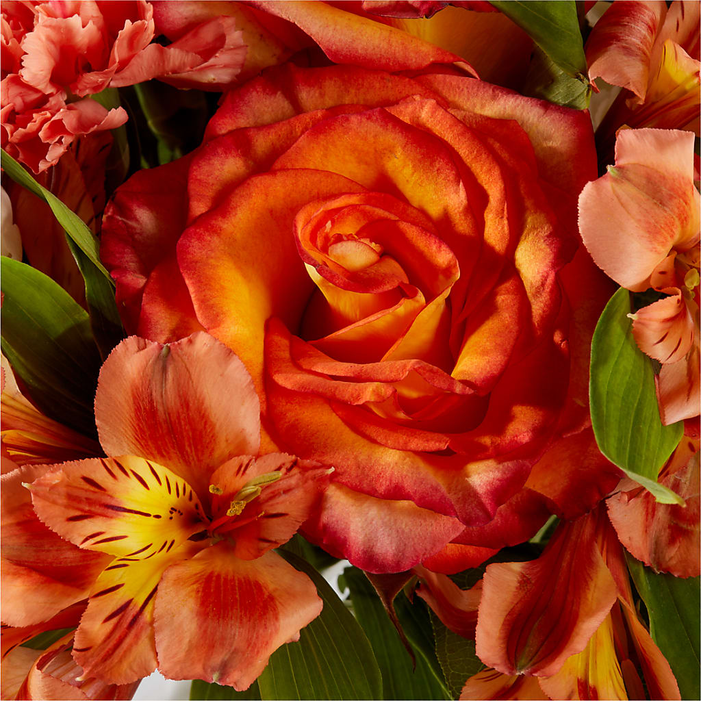 Apricot Glow Bouquet –  Flowers By Oralene Llc, Concord NC