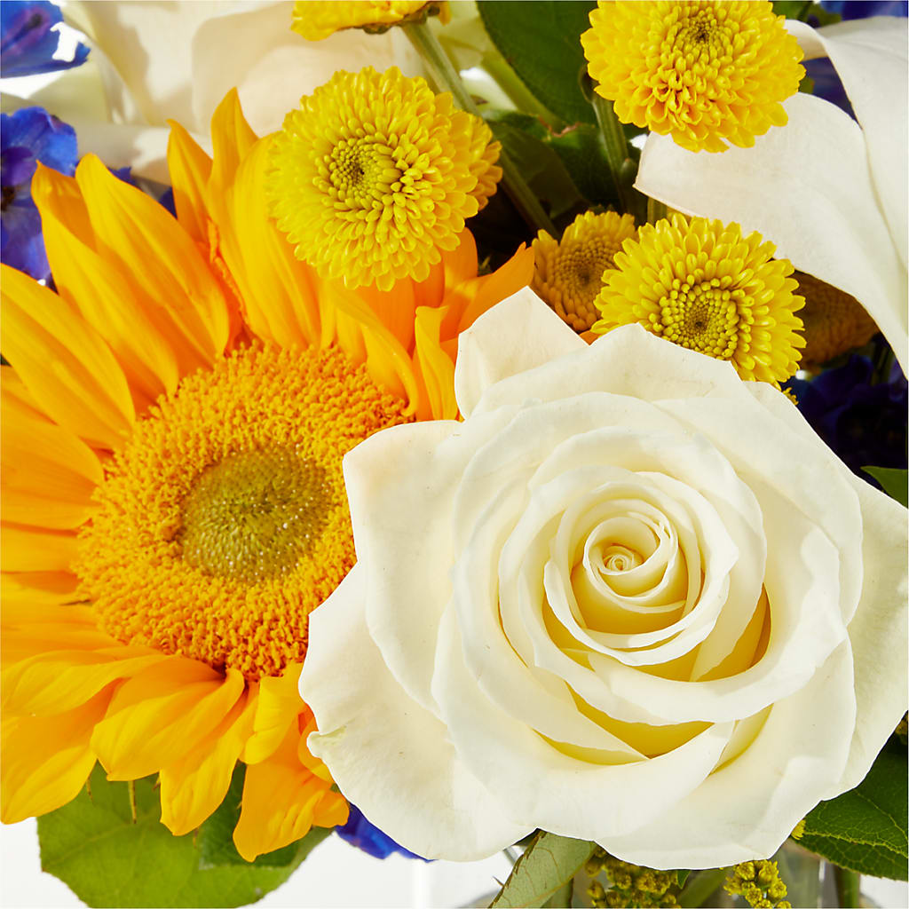 Stargazing Bouquet –  Flowers By Oralene Llc, Concord NC